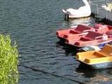 Tretbootverleih Tretbootverleih