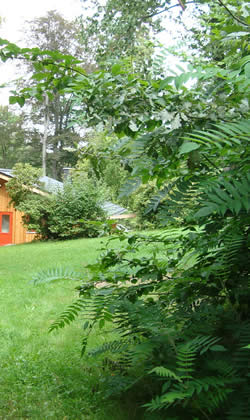 Große Wiese